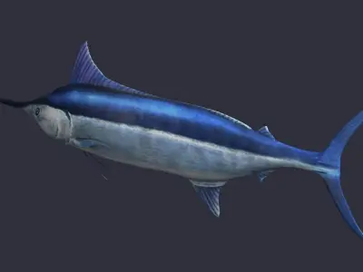 swordfish marlin ocean sea fish swim fast 3D model
