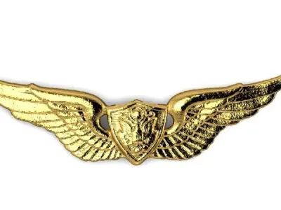 Army Aviation Aircraft Crewman Badge Miniature 3D print model