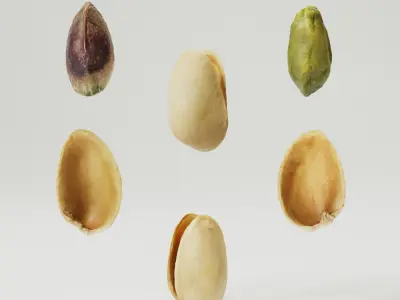 Pistachios 3D model