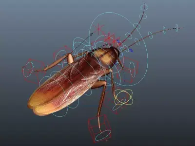 cockroach 3d maya rigged 3D model