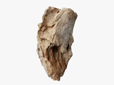 Scanned Trimmed Tree Wood 12 3D model