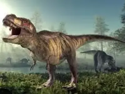 Tyrannosaurus t - rex in forest 3D model