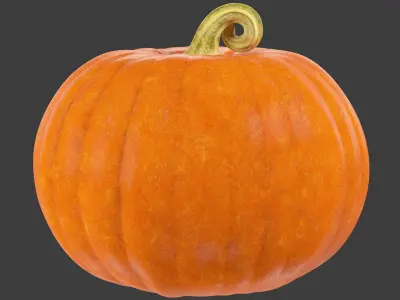 Pumpkins Collection V8 3D model