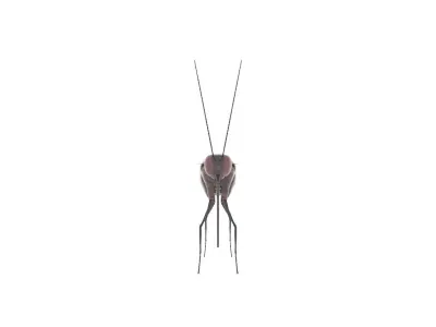 Butterfly 3D Model colorful 3D model