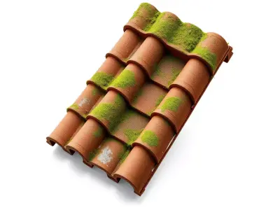 Mossy Terracotta Roof Tiles Low-poly 3D model