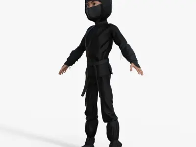 Ninja Rigged 3D model