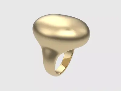 Signet Training Ring JDBCo 3D print model purchase