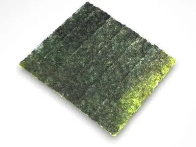 Sushi Nori 3D model