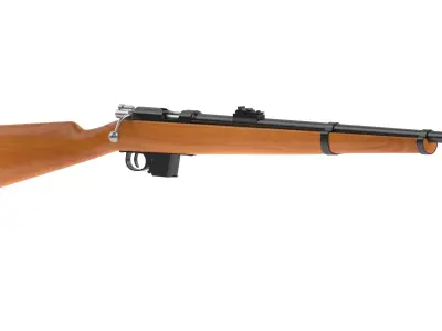 Destroyer Carbine 3D model