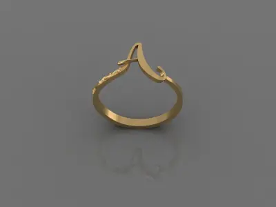 Women Ring 3D print model