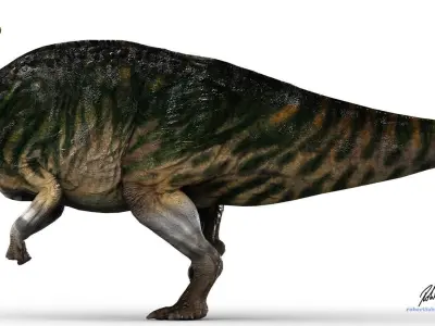 Parasaurolophus dinosaur with long horns Low-poly 3D model
