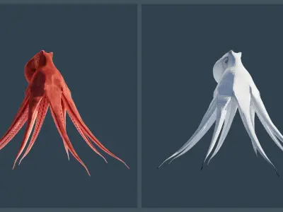 Animated Giant Pacific Octopus Low-poly 3D model