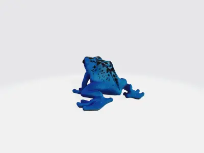 Frog cartoon 3d model Low-poly 3D model