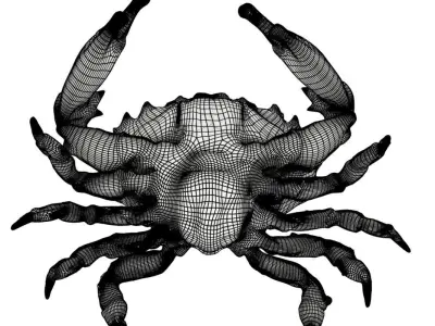 Base crab Low-poly 3D model