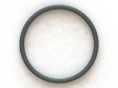 O Ring Vedabras 12752 3D model by BianchiStore-Official