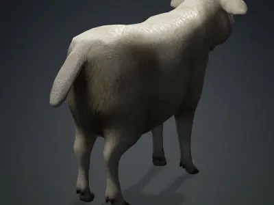 Low poly Sheep Low-poly 3D model