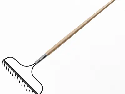 Big Rake 3D model