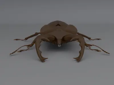 Stag Beetle Low-poly 3D model purchase