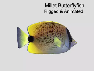 Millet Butterflyfish Low-poly 3D model