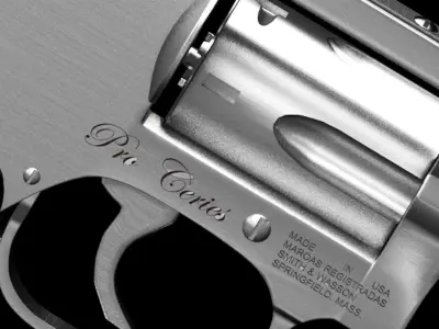 Gun magnum 357 3D model