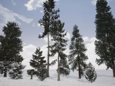 Very realistic 3d Trees collection for Twinmotion 2019 part 1 Low-poly 3D model