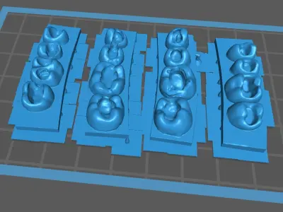 Dental training models 3D print model