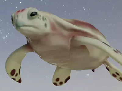 Sea turtle Low-poly 3D model purchase