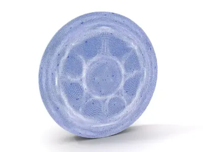 Intricate Brass Medallion model pack Low-poly 3D model