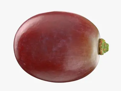 Grape Collection 2 3D model