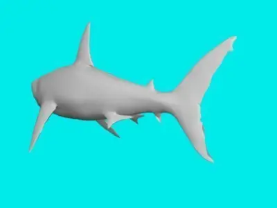 big shark 3D model