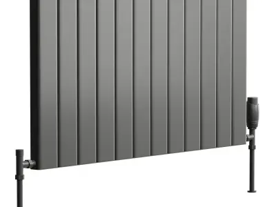 Reina Vicari Designer Radiator 3D model