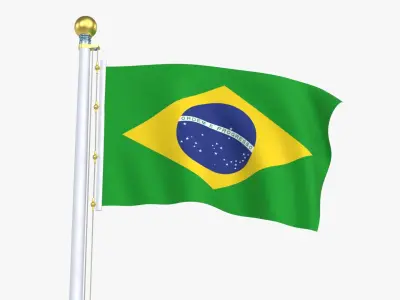 BrazilFlagStandPoleAnimated 3D model