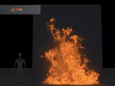 3D Wallfire Animation 3D model buy