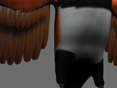 Munia 3D model
