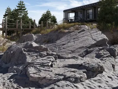  Large Wedge Beach Rock Model  purchase