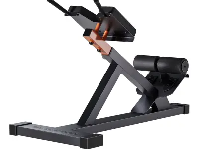 Hyperextension Club Line Lacertosus 3D model