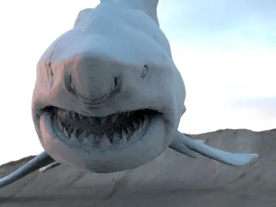 Great White Shark Hybrid With UVs 3D model
