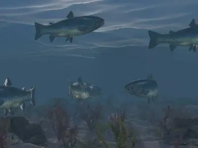Fish Low poly Rigged 4K PBR Textures Game Ready  Low-poly 3D model