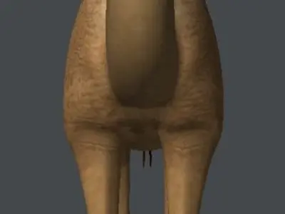 Camel 3D model