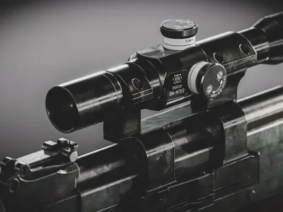 M76 DMR Low-poly 3D model