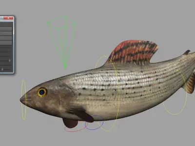 Fish 3D 3D model