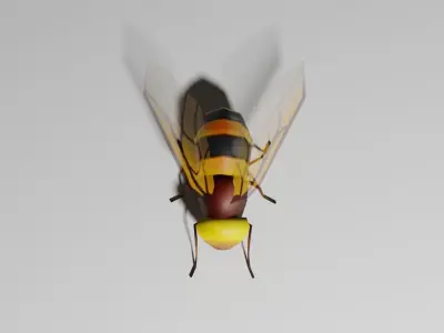 Insects Pack - Low Poly 3D model