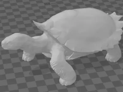 Carbonemys tortoise 3D print model