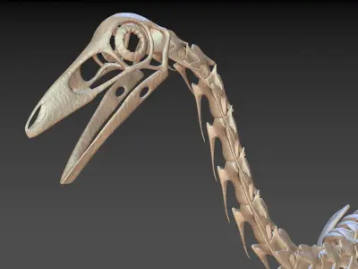 Ornithomimus skeleton 3D model