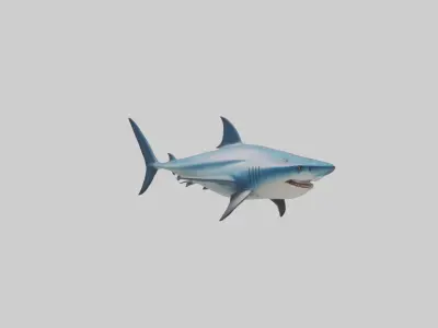 Thresher Shark circling model Low-poly 3D model