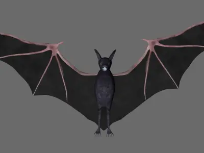 Bat with wings 2 Low-poly 3D model