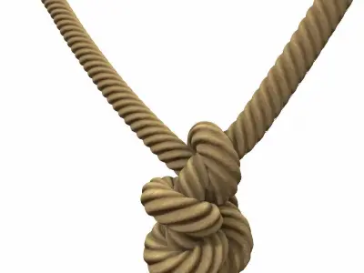 Rope Knot 3D model purchase