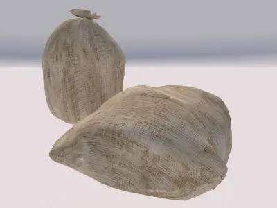 closed bags sacks 3D model