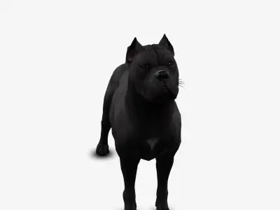 dog canne corso Low-poly 3D model