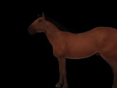 horse 3D model 3
